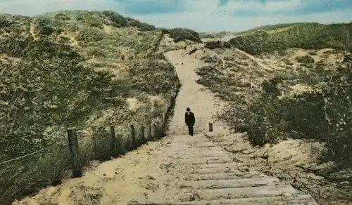 ÄLTERE POSTKARTE BERGEN N.H. DUINPANORAMA Noord-Holland Duin Dünen Nederland postcard Ansichtskarte cpa AK