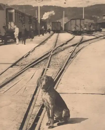 ALTE POSTKARTE ICH KANN ES NICHT ERWARTEN HUND BAHNSTEIG dog chien Jagdhund Zug Bahnhof train gare station Ansichtskarte