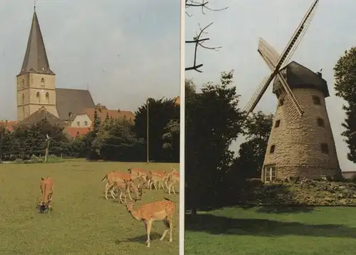 ÄLTERE POSTKARTE LAER BEI HORSTMAR KREIS STEINFURT WINDMÜHLE EHRENMAL DENKMAL REHE Mühle windmill molen postcard cpa AK