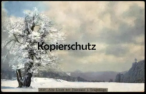 ALTE POSTKARTE ALTE LINDE BEI ZINNWALD IM ERZGEBIRGE Georgenfeld Altenberg tree Baum arbre tilleul lime Ansichtskarte