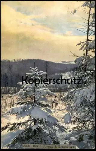 ALTE POSTKARTE BEI LIEBENAU IM ERZGEBIRGE Altenberg Photochromie Schnee snow Winter cpa postcard AK Ansichtskarte