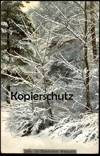 ALTE POSTKARTE IM BLASEWITZER WALDPARK BLASEWITZ PARK Dresden Schnee snow Winter cpa postcard AK Ansichtskarte