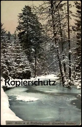 ALTE POSTKARTE MOTIV A. D. PRIESSNITZGRUND DRESDNER HEIDE Dresden Schnee snow Winter cpa postcard AK Ansichtskarte