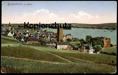 ALTE POSTKARTE RÜDESHEIM AM RHEIN PANORAMA postcard Ansichtskarte AK cpa