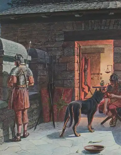 ALTE LITHO POSTKARTE SAALBURG AUF WACHE SIGN. CARL NEBEL Schäferhund dog chien Ansichtskarte postcard AK cpa