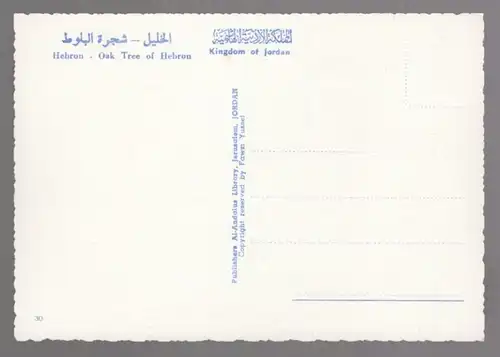 ÄLTERE POSTKARTE OAK TREE OF HEBRON KINGDOM OF JORDAN Eiche Baum arbre Palästina Palestine cpa AK Ansichtskarte postcard