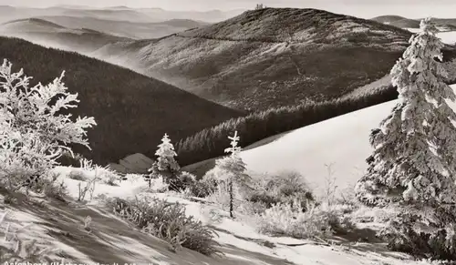 ÄLTERE POSTKARTE ASTENBERG HOCHSAUERLAND 842 M Ü. M. BLICK ZUM HOHEN KNOCHEN Winterberg cpa AK postcard Ansichtskarte