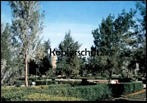 ÄLTERE POSTKARTE RIYADH PUBLIC GARDENS Garden Saudi Arabia Saudi-Arabien Park parc Ansichtskarte cpa AK postcard