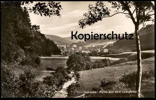 ALTE POSTKARTE LAASPHE PARTIE AUS DEM LAASPHETAL Bach Wiese cpa Ansichtskarte postcard AK