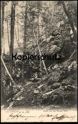 ALTE POSTKARTE LEOBEN PARTIE AUF DIE MUGEL 1904 Wanderer cpa Ansichtskarte postcard AK