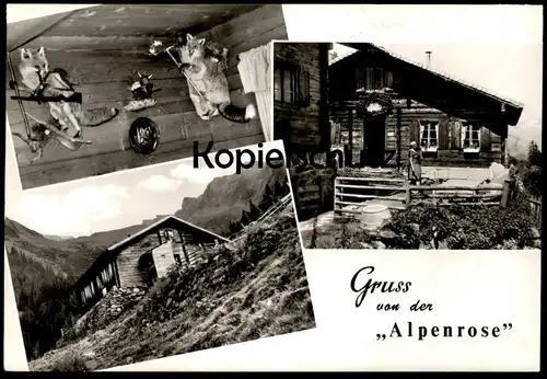 ÄLTERE POSTKARTE GRUSS VON DER ALPENROSE MAYRHOFEN FUCHS ALS JÄGER fox hunting Teufel devil Ansichtskarte cpa postcard