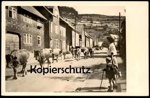 ALTE POSTKARTE LUFTKURORT PAPPENHEIM THÜRINGEN FRIEDRICHRODAER STRASSE  KLEINSCHMALKALDEN KUHTRIEB KÜHE Floh-Seligenthal