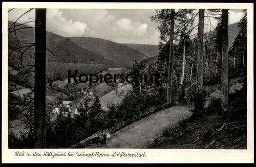 ALTE POSTKARTE BLICK IN DEN HÖLLGRUND BEI STRÜMPFELBRUNN-WALDKATZENBACH Waldbrunn Ansichtskarte cpa AK postcard