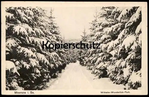 ALTE POSTKARTE MEERANE IN SACHSEN WILHELM-WUNDERLICH-PARK 1944 Winter Tannen Schnee Ansichtskarte postcard cpa AK