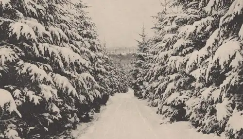 ALTE POSTKARTE MEERANE IN SACHSEN WILHELM-WUNDERLICH-PARK 1944 Winter Tannen Schnee Ansichtskarte postcard cpa AK