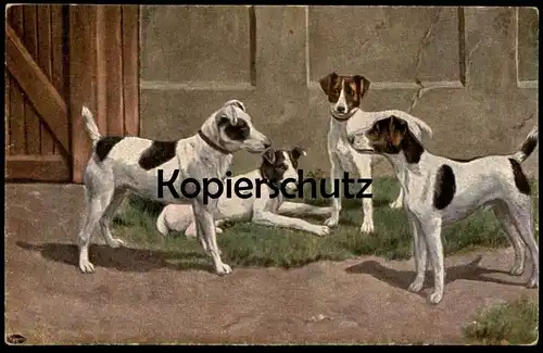 ALTE POSTKARTE SPIELENDE HUNDE PLAYING DOGS Hund dog chien Ansichtskarte postcard cpa AK
