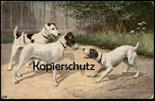 ALTE POSTKARTE SPIELENDE BELLENDE HUNDE PLAYING DOGS Hund dog chien Ansichtskarte postcard cpa AK