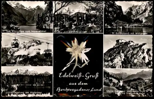 ÄLTERE POSTKARTE EDELWEISS-GRUSS AUS DEM BERCHTESGADENER LAND KEHLSTEINHAUS JENNER Edelweiss cpa Ansichtskarte postcard