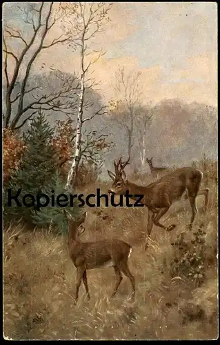 ALTE POSTKARTE EINLADUNG ZUR JAGD hunting invitation chasse Reh roe deer buck chevreuil Ansichtskarte postcard AK cpa