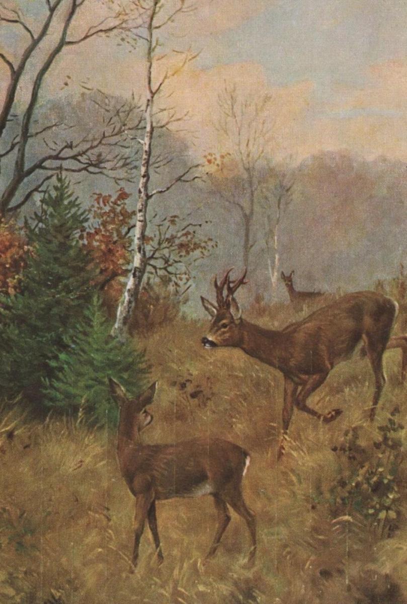 ALTE POSTKARTE EINLADUNG ZUR JAGD hunting chasse Reh roe deer buck