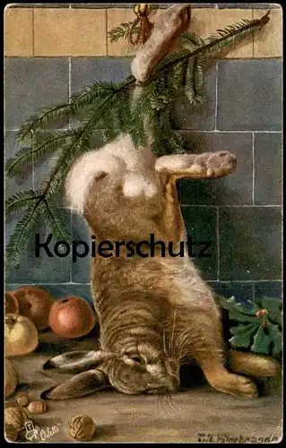 ALTE OILETTE RAPHAEL TUCK KÜNSTLER POSTKARTE JAGD SIGN. FRITZ HILDEBRANDT hunting chasse Kaninchen Hase postcard AK cpa