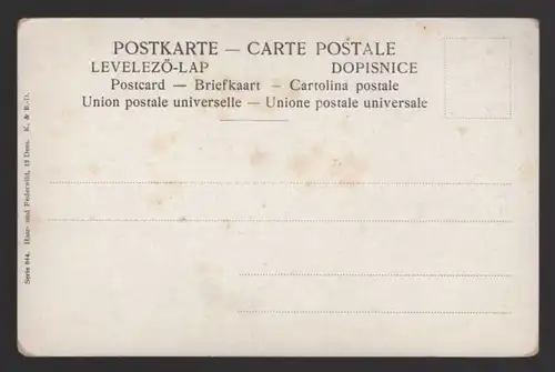 ALTE KÜNSTLER POSTKARTE SERIE HAAR- UND FEDERWILD SIGN. M. MÜLLER JUNIOR 1901 hunting chasse Jagd postcard Ansichtskarte