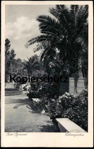 ALTE POSTKARTE BAD PYRMONT PALMENGARTEN DEUTSCHLANDS SCHÖNSTER KURPARK Palme Palmen Garten Ansichtskarte cpa postcard AK