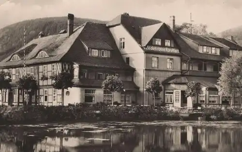 ÄLTERE POSTKARTE ILSENBURG HARZ HO-HOTEL ZU DEN ROTEN FORELLEN cpa postcard Ansichtskarte AK