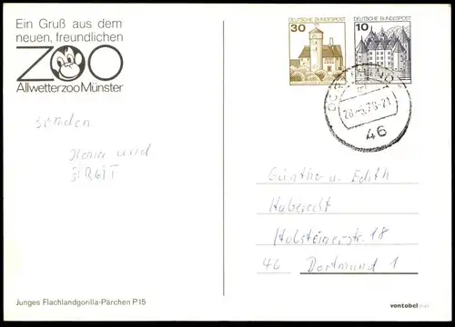 ÄLTERE POSTKARTE EIN GRUSS AUS DEM NEUEN FREUNDLICHEN ZOO MÜNSTER ALLWETTERZOO FLACHLANDGORILLA GORILLA Affe ape AK