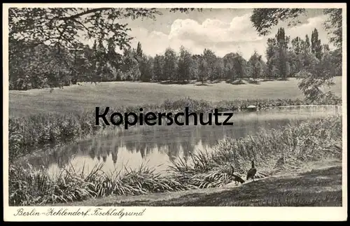 ALTE POSTKARTE BERLIN ZEHLENDORF FISCHTALGRUND postcard cpa Ansichtskarte AK