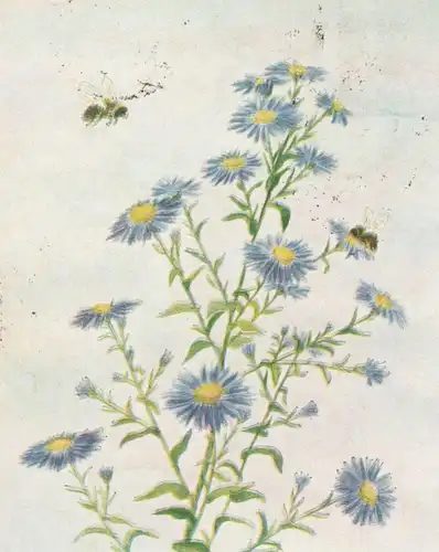 ÄLTERE POSTKARTE SOMMER MIT DEM MUNDE GEMALT Peint à la bouche R. de Vos Hummel Biene bee bumblebee le bourdon postcard