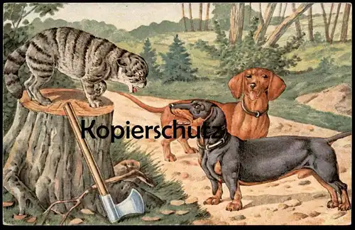 ALTE POSTKARTE HUNDE WÜTENDE KATZE Teckel Dachshund dog chien Dackel chat cat Humor humour cpa Ansichtskarte postcard AK