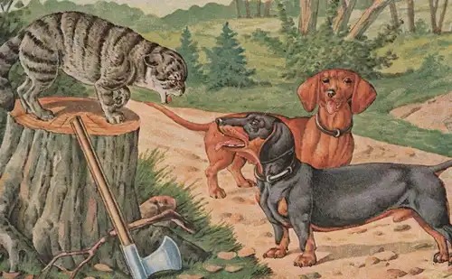 ALTE POSTKARTE HUNDE WÜTENDE KATZE Teckel Dachshund dog chien Dackel chat cat Humor humour cpa Ansichtskarte postcard AK