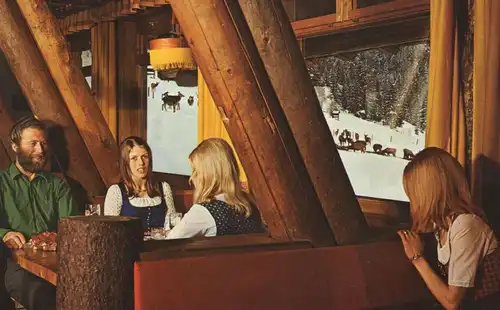 ÄLTERE POSTKARTE LOFER GEMÜTLICHKEIT IM RESTAURANT KNAPPENSTADL MIT BLICK ZUR HIRSCHFÜTTERUNG Hirsch Reh roe deer AK