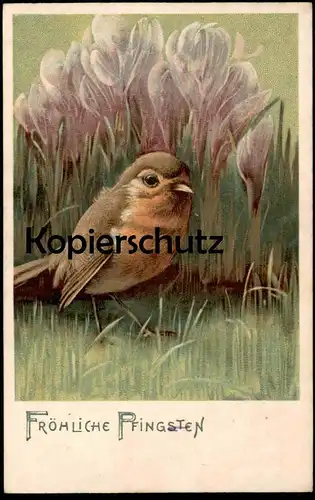 ALTE POSTKARTE FRÖHLICHE PFINGSTEN Rotkehlchen robin le rouge-gorge Ansichtskarten postcard cpa AK