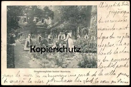 ALTE POSTKARTE GROSSHERZOGLICHES INSTITUT MANNHEIM Frauen arbeiten im Garten Gartenarbeit women gardening postcard