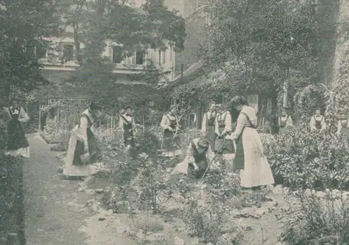 ALTE POSTKARTE GROSSHERZOGLICHES INSTITUT MANNHEIM Frauen arbeiten im Garten Gartenarbeit women gardening postcard