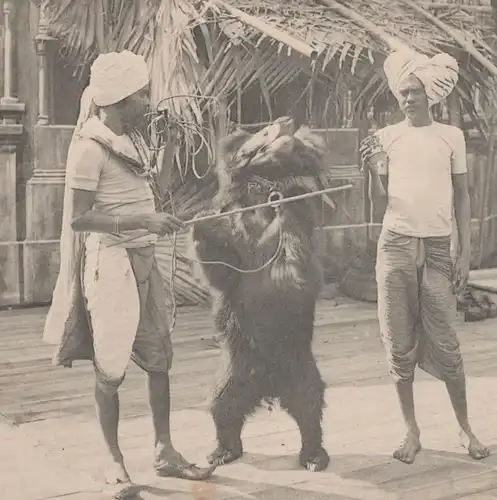 ALTE POSTKARTE JARDIN ZOOLOGIQUE D'ACCLIMATATION LES MALABARES Bär bear Tanzbär ours AK cpa postcard Ansichtskarte