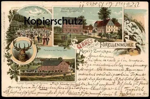 ALTE LITHO POSTKARTE GRUSS VON DER FORELLENMÜHLE MOSEL BEI ZWICKAU 1901 SCHIESSSTAND Hirsch deer Ansichtskarte postcard