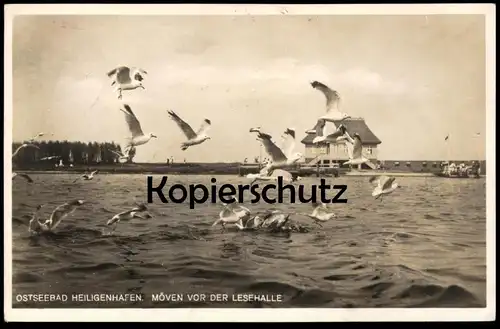 ALTE POSTKARTE OSTSEEBAD HEILIGENHAFEN 1928 MÖVEN VOR DER LESEHALLE Möwen Möwe postcard AK cpa Ansichtskarte