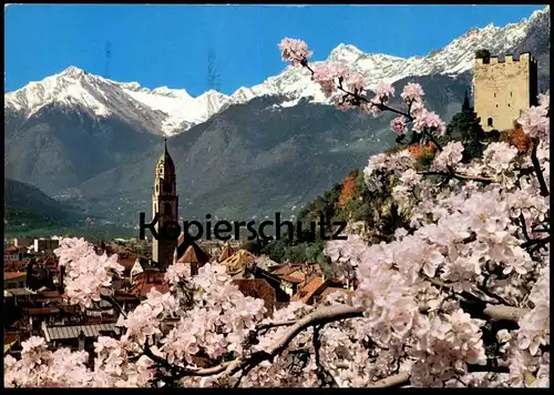 ÄLTERE POSTKARTE FRÜHLING IN MERAN TEXELGRUPPE PRIMAVERA A MERANO cpa postcard Ansichtskarte AK
