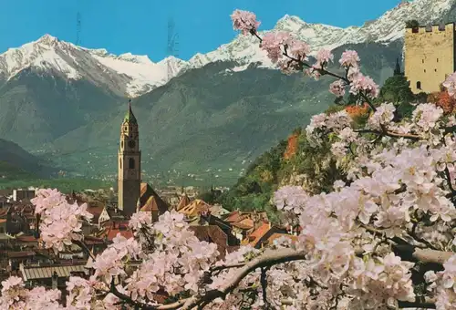 ÄLTERE POSTKARTE FRÜHLING IN MERAN TEXELGRUPPE PRIMAVERA A MERANO cpa postcard Ansichtskarte AK