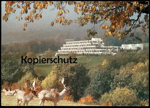 ÄLTERE POSTKARTE CLINIQUE MÉDICO-CHIRURGICALE DE GENOLIER SUISSE HIRSCH roe deer cerf postcard Ansichtskarte cpa AK