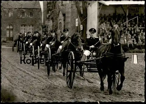 ALTE POSTKARTE HENGSTPARADE LANDGESTÜT WARENDORF Hengst Pferde horses horse Pferd coach postcard Ansichtskarte Reitsport