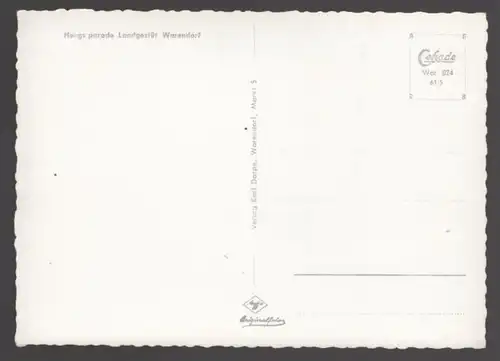 ALTE POSTKARTE HENGSTPARADE LANDGESTÜT WARENDORF Hengst Pferde horses horse Pferd coach postcard Ansichtskarte Reitsport