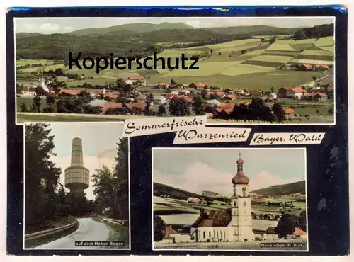 ÄLTERE POSTKARTE SOMMERFRISCHE WARZENRIED BAYERISCHER WALD AUF DEM HOHEN BOGEN NEUKIRCHEN HL. BLUT Eschlkam AK postcard