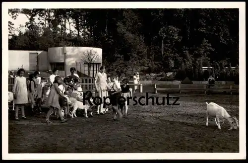 ALTE POSTKARTE ESSEN KINDER-ZOO IM GRUGAPARK TIERPARK Ziegen Ziege goat chèvre Ansichtskarte cpa postcard AK