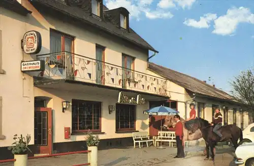 ÄLTERE POSTKARTE LAMBERTSBERG EIFEL PENSION SCHILZ KREIS BITBURG-PRÜM ARZFELD Bitburger Bier Löwenbräu Trier africola AK