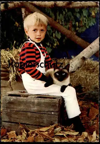 ÄLTERE POSTKARTE KIND JUNGE MIT RAGDOLL KATZE child with cat enfant avec chat boy Ansichtskarte AK cpa postcard animal