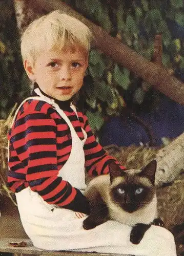 ÄLTERE POSTKARTE KIND JUNGE MIT RAGDOLL KATZE child with cat enfant avec chat boy Ansichtskarte AK cpa postcard animal